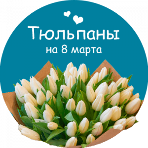 Купить тюльпаны в Завитинске